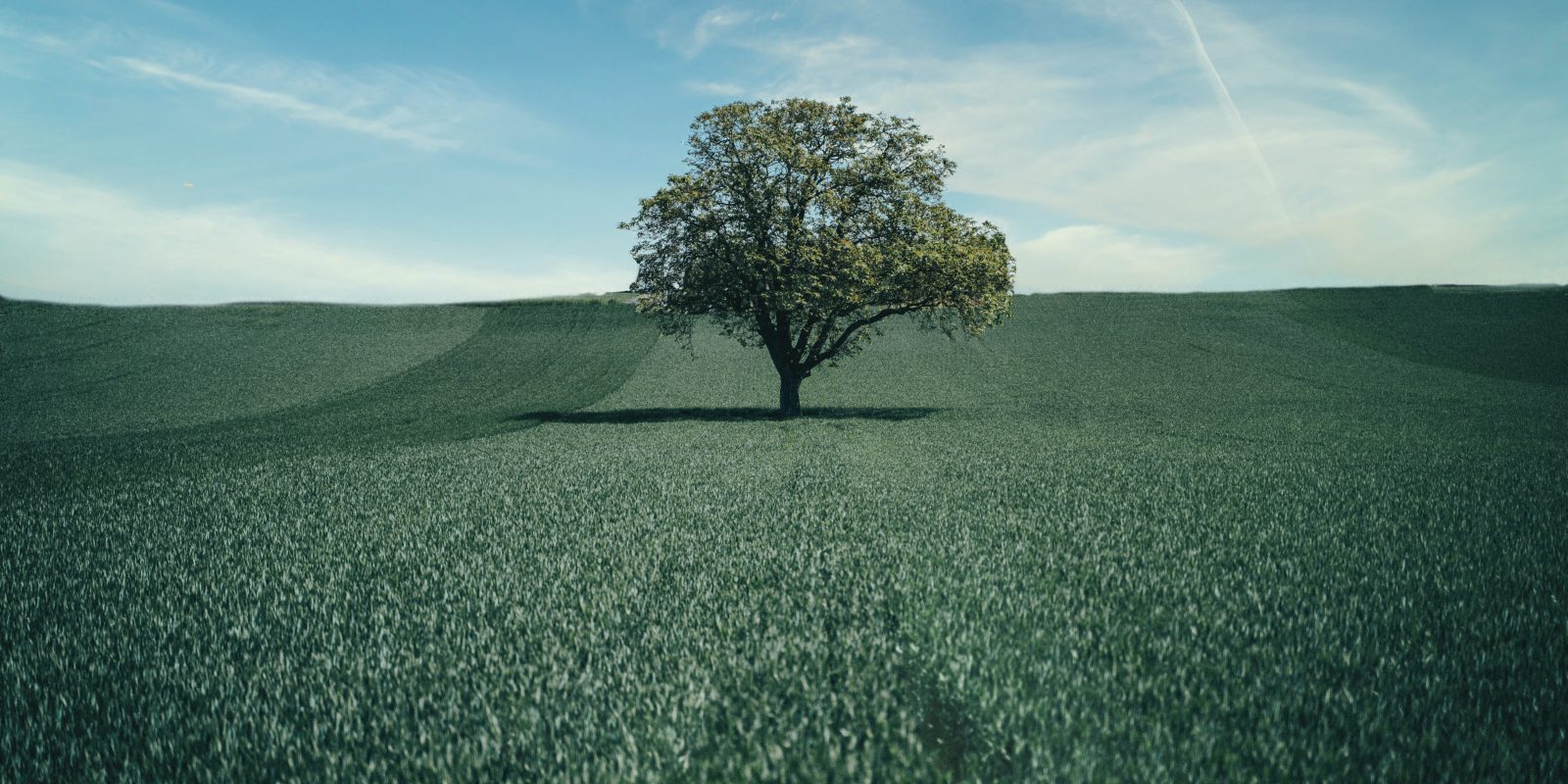 Pexels benni fish 7619510