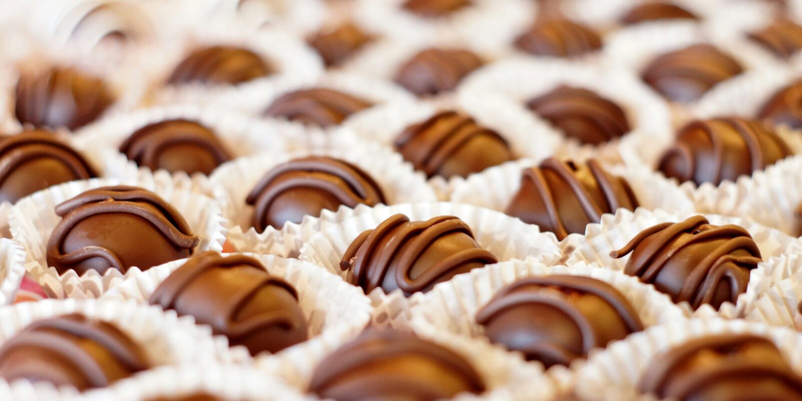 Rosemary williams M Ub R4 H4 Uh AM unsplash